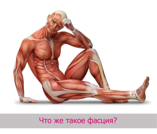 Фасція – інтегрувальна матерія